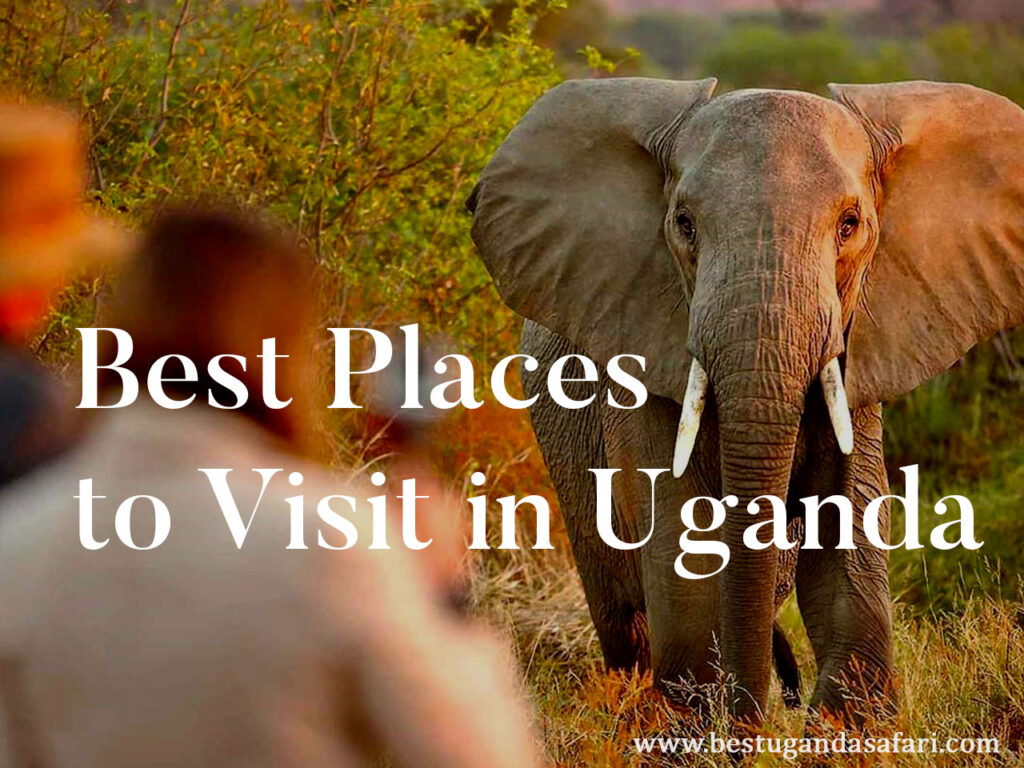 Best Places to Visit in Uganda (Top 10 tourist attractions in Uganda)