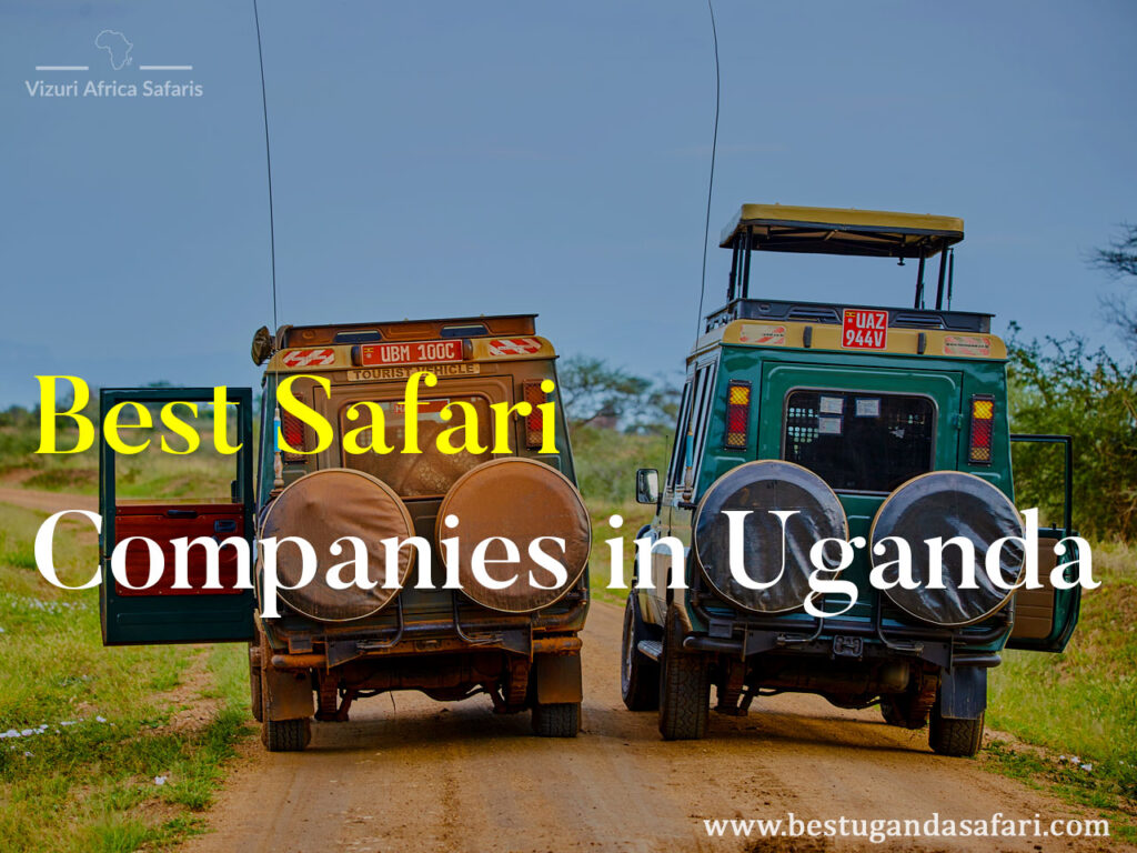 best-safari-companies-in-uganda