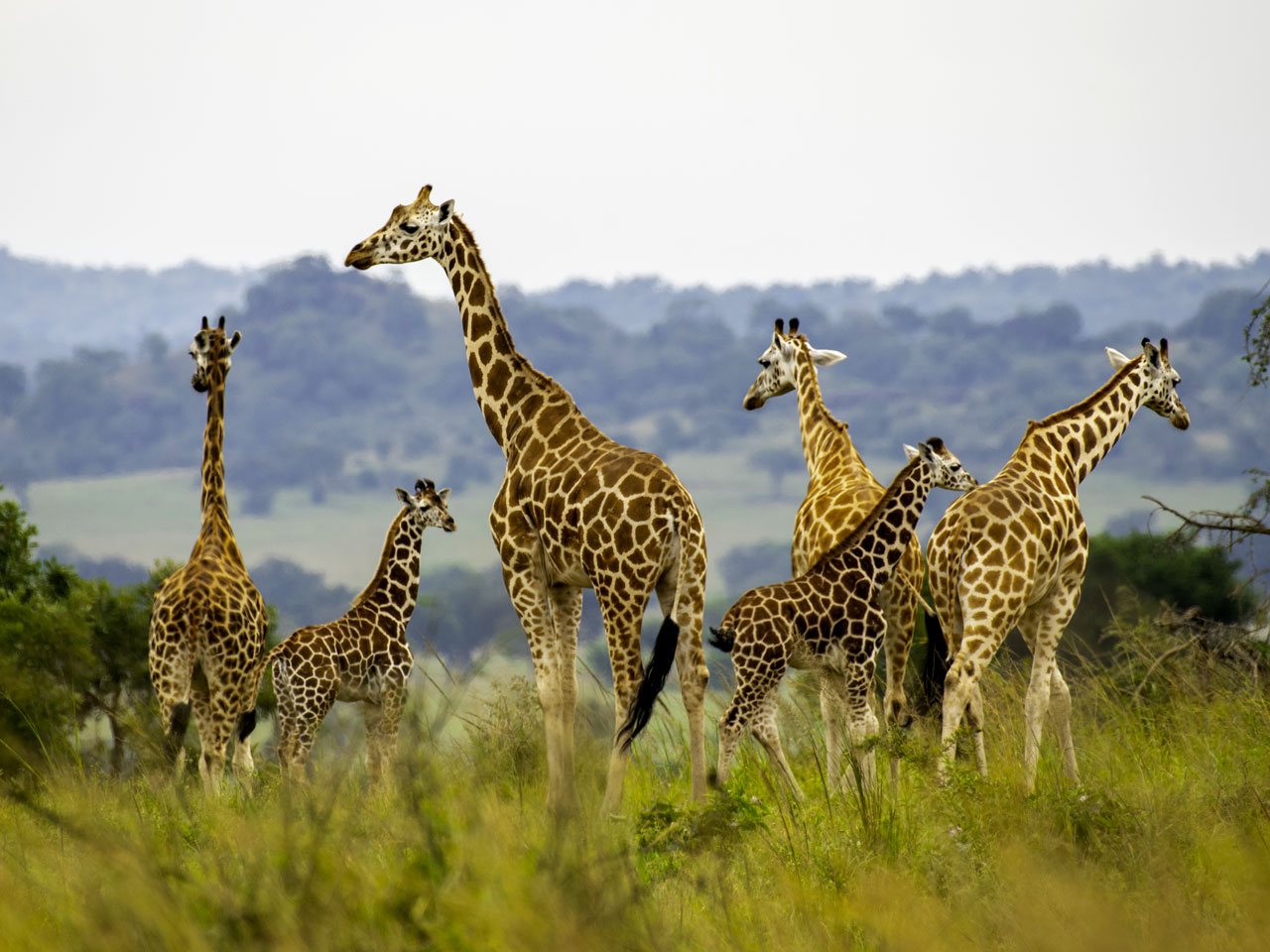 kidepo-valley-national-park