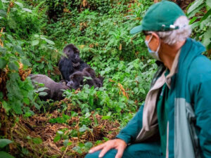 Gorilla Permit Cost in Uganda - How much and How to Book a gorilla permit in Uganda