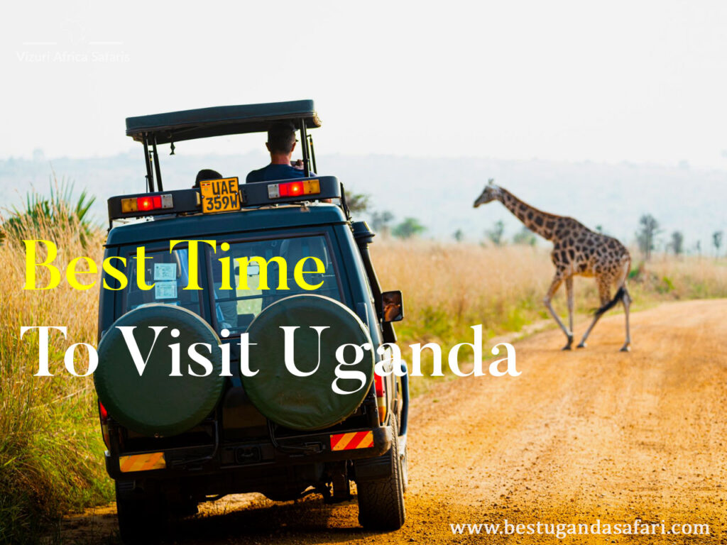 best-time-to-visit-uganda